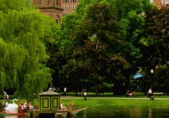 April Greene—Writer and Editor