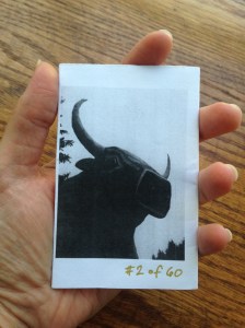 22143492495_44436f53c8_o