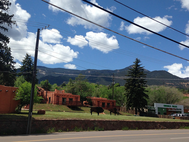 Buffalo signs in Manitou Springs