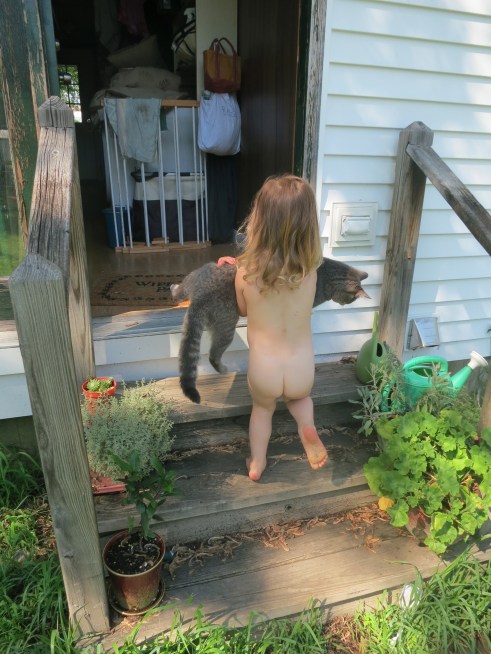 Toddler carrying cat