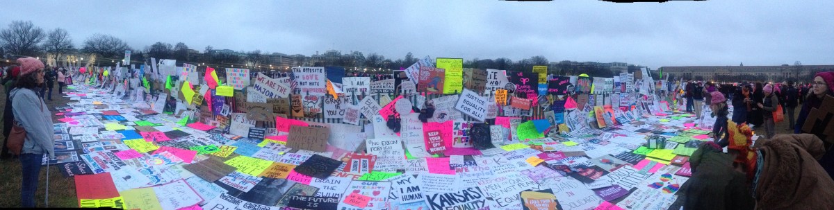 Womens march protest sign