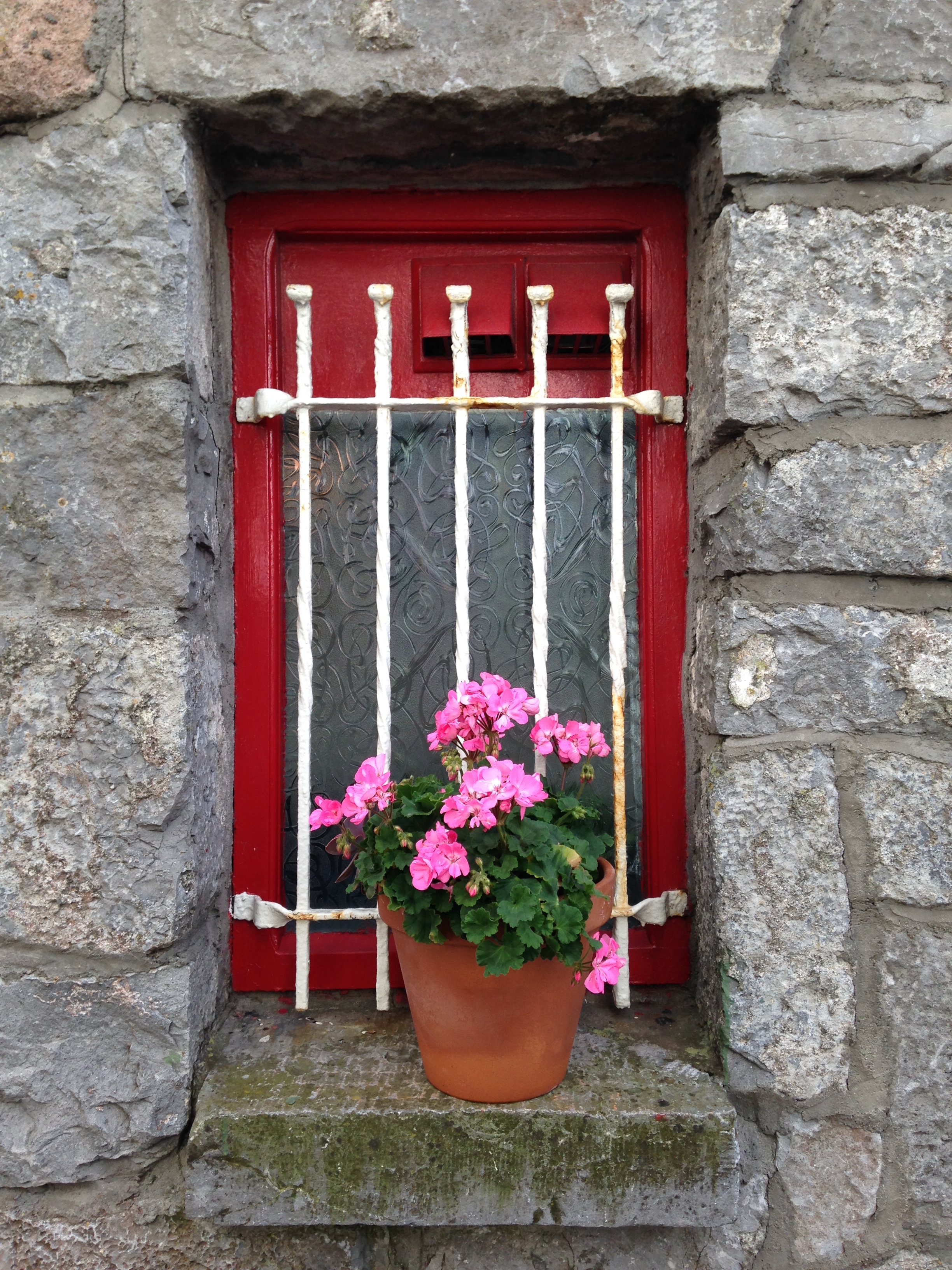 Red window with pink flowers in Galway Ireland
