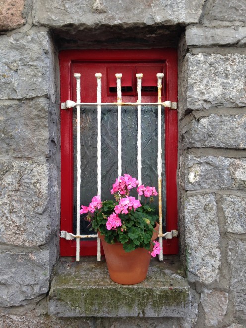 Red window with pink flowers in Galway Ireland