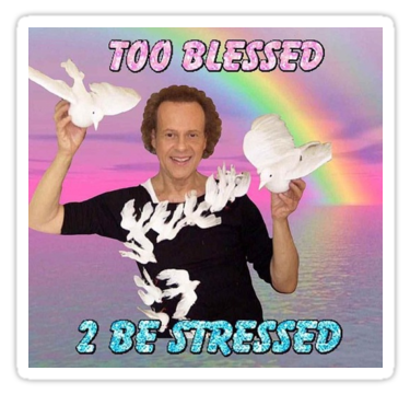 Too Blessed 2 Be Stressed