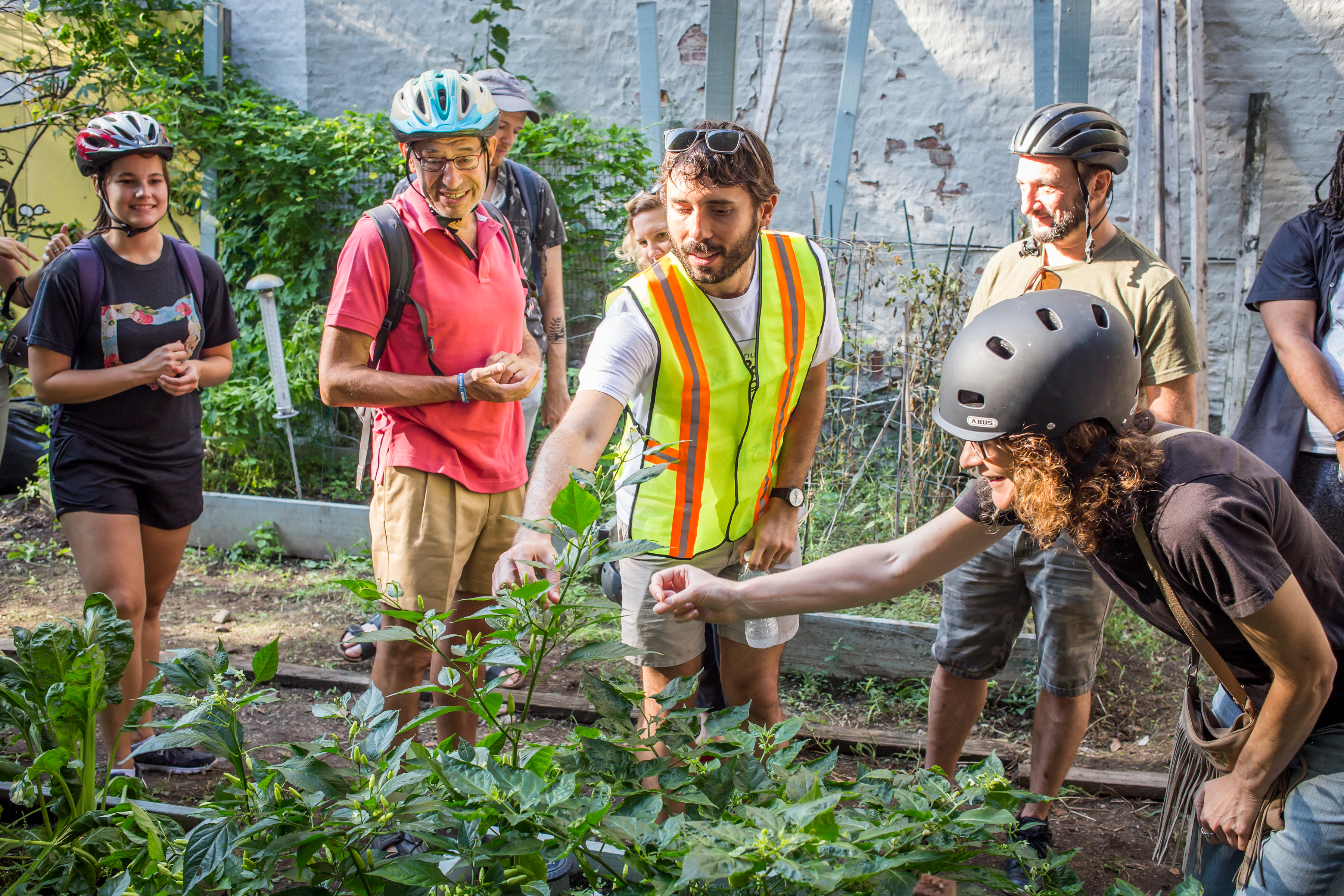 Happy people in bike helmets looking at plants